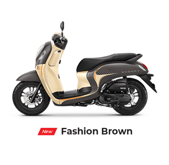 fashion-brown