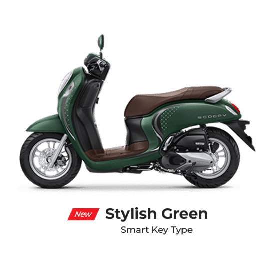 stylish-green